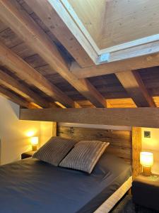 Ένα ή περισσότερα κρεβάτια σε δωμάτιο στο Albert, 2 min Ski et Commerce