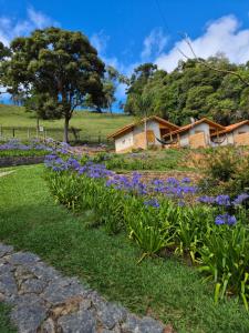 a garden with purple flowers and a tree at Cabana refúgio do tico tico 07 in Cunha