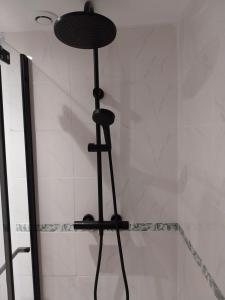 a shower with a black fan in a bathroom at Les aires in Tourbes