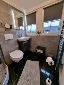 a bathroom with a toilet and a sink at Ferienwohnung Wienstroer in Westbevern +20 photos