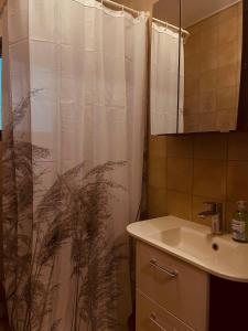 Ferienwohnung im Grünen في Christofberg: حمام مع ستارة دش ومغسلة