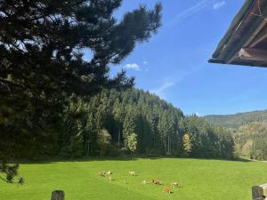 Ferienwohnung im Grünen في Christofberg: مجموعة من الحيوانات ترعى في حقل من العشب +4 صور