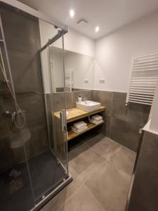 a bathroom with a sink and a shower at La Borda del Gato Rafa in Vielha