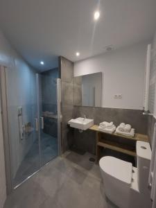 a bathroom with a shower and a toilet and a sink at La Borda del Gato Rafa in Vielha