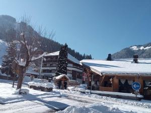 Studio cosy 19m² - Proche télécabine St Jean d'Aulps - FR-1-573-146 v zimě