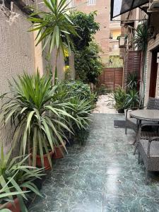 Gallery image of نرجس in Cairo