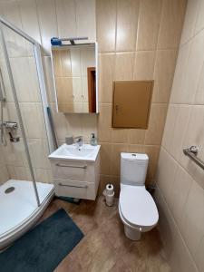 阿利图斯Andy Lovley Place for Guests的浴室里有马桶、洗手池和淋浴。