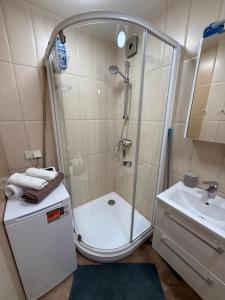 阿利图斯Andy Lovley Place for Guests的浴室配有淋浴和洗手池