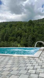 a large swimming pool with a water fountain at Vila Amore Sarajevo Bjelasnica 