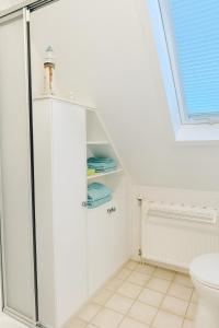 a bathroom with a shower and a toilet at Fewo Birnau in Unteruhldingen
