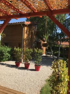 Saint-Maurice-de-LignonEcogîte Les Papillons des Sucs的一组盆栽植物,坐在凉棚下