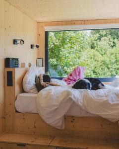 Eine Person und ein Hund liegen auf einem Bett in einem Zimmer mit Fenster in der Unterkunft Parcel Tiny House I Richecourt vue Lac in Mesbrecourt-Richecourt