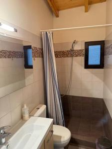 a bathroom with a shower and a toilet and a sink at Stymfalia Cozy Village Guesthouse in Kartérion +24 photos