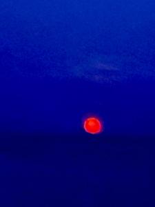 Φυσικό τοπίο κοντά σε αυτό το διαμέρισμα