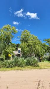 a house on the beach with trees and bushes at Casa XIII in Costa del Este