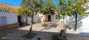 a courtyard with two trees in front of a house at El Cortijillo de la Marquesa in Villar +20 photos