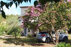 un'auto parcheggiata accanto a un albero con fiori rosa di Villa Loudéro a Bédarieux Altre 2 foto