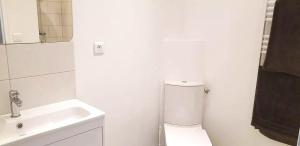 Centre ville Angouleme في أنغوليم: حمام أبيض مع مرحاض ومغسلة