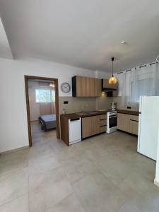 a large kitchen with a counter and a refrigerator at Villa & Apartament Armonia 3 Gaja Flora Gavalochori - Vamos KRETA in Vamos +2 photos