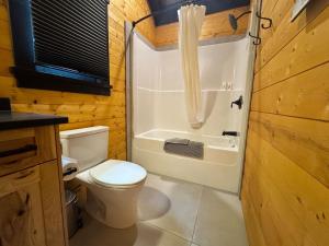 a bathroom with a white toilet and a bath tub at Explorer Creekside Cabin - Private Hot Tub in Golden
