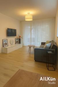 Μια τηλεόραση ή/και κέντρο ψυχαγωγίας στο AIL Kün Studio