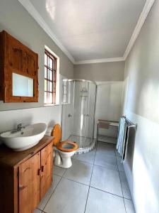 a bathroom with a toilet and a shower and a sink at De Valk & Tak Manor in Bloemfontein