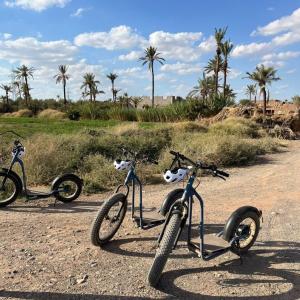 Dos bicicletas estacionadas en un camino de tierra con palmeras. en riad zellige 95, en Marrakech