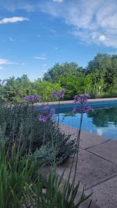 Hồ bơi trong/gần Posada Miralejos