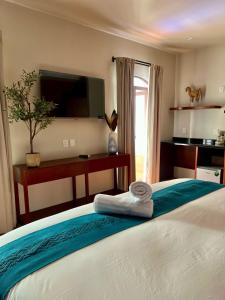 Postel nebo postele na pokoji v ubytování Hotel Boutique Casa Gopar