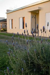 a house with purple flowers in front of it at LOS GURISES Villa Elisa in Villa Elisa