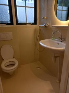 Ένα μπάνιο στο Vakantiehuis met sauna en jacuzzie +18 φωτογραφίες