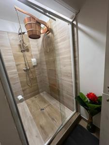 a shower with a glass door in a bathroom at MaBy Wellness Apartment in Hegyeshalom