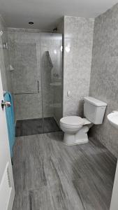 a bathroom with a toilet and a shower and a sink at Moderno Apartamento con Vista al Mar y Piscina in Boca de Aroa +4 photos