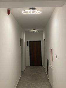 Ảnh trong thư viện ảnh của Apartman Ideal ở Ivišovo Greblje