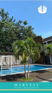 Hồ bơi trong/gần Hotel Harvest Retalhuleu