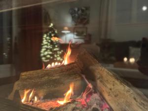 eine Feuerstelle mit einem Weihnachtsbaum im Hintergrund in der Unterkunft Gîte du Rossignol à 5 minutes du Château de la Citardière et à 14 minutes du Château de Bourneau in Mervent