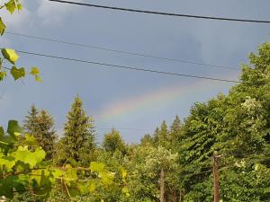 Naturlandskabet i nærheden af den private indkvartering + 29 billeder