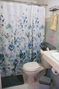 Un baño con inodoro y cortina de ducha. en Equipped Yaxkin Studio on downtown, 3 blocks away from sea, close to restaurants, en Cozumel 33 fotos más