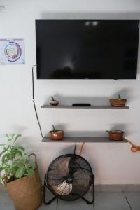 Un televisor en una pared con un ventilador y plantas. en Equipped Yaxkin Studio on downtown, 3 blocks away from sea, close to restaurants, en Cozumel