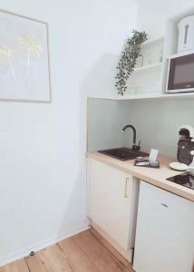 eine Küche mit Spüle und Arbeitsplatte in der Unterkunft Instant Emeraude Apartment in Saint-Brieuc