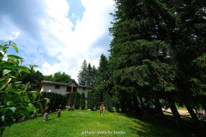 Zahrada ubytování Cabana Schinda