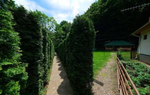 Zahrada ubytování Cabana Schinda + 4 fotografie