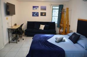 Ένα ή περισσότερα κρεβάτια σε δωμάτιο στο Studios Yaxkin, located in downtown