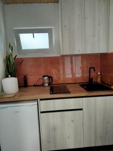 Η κουζίνα ή μικρή κουζίνα στο Apartman Vidaković