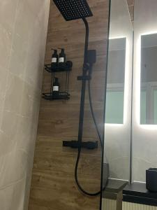 a shower in a bathroom with a glass wall at Uniri Urban Escape in Craiova +113 photos