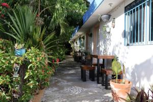 Κήπος έξω από το Comfy studio Yaxkin on downtown, 3 block away from sea and sunsets