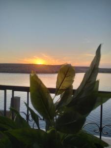 阿布辛贝Wonji house的相册照片