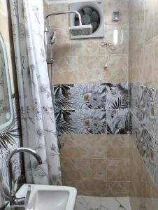 阿布辛贝Wonji house的相册照片