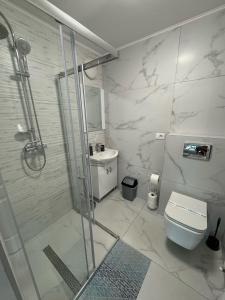 a bathroom with a shower and a toilet and a sink at Casa Venus in Sînmartin