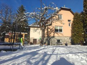een man voor een huis in de sneeuw bij Lipoffka in Lipova Lazne